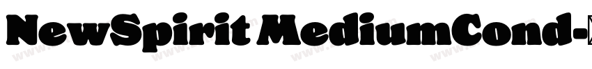 NewSpirit MediumCond字体转换